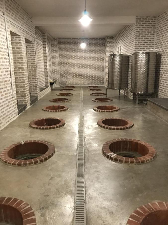 Begaso Family Winery Hotel Kvareli Ngoại thất bức ảnh
