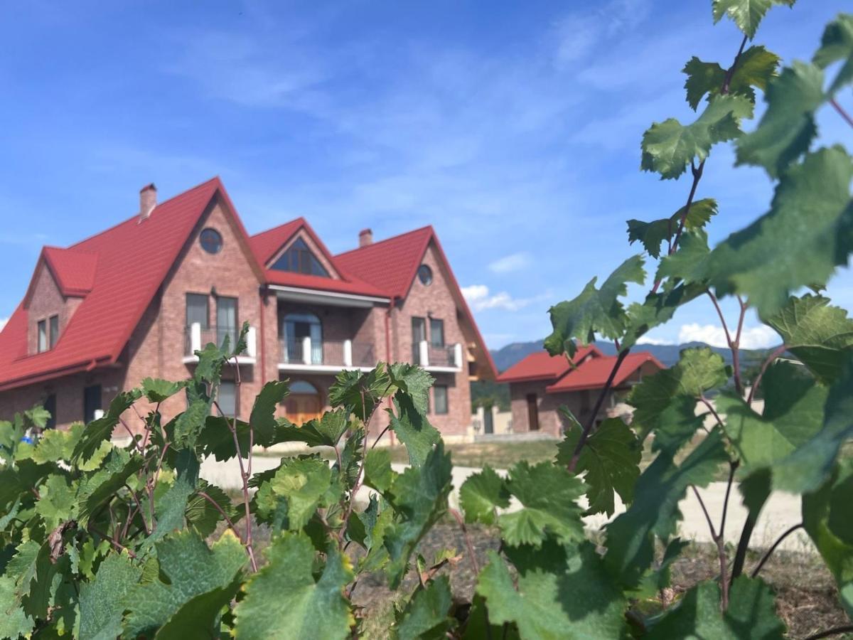 Begaso Family Winery Hotel Kvareli Ngoại thất bức ảnh
