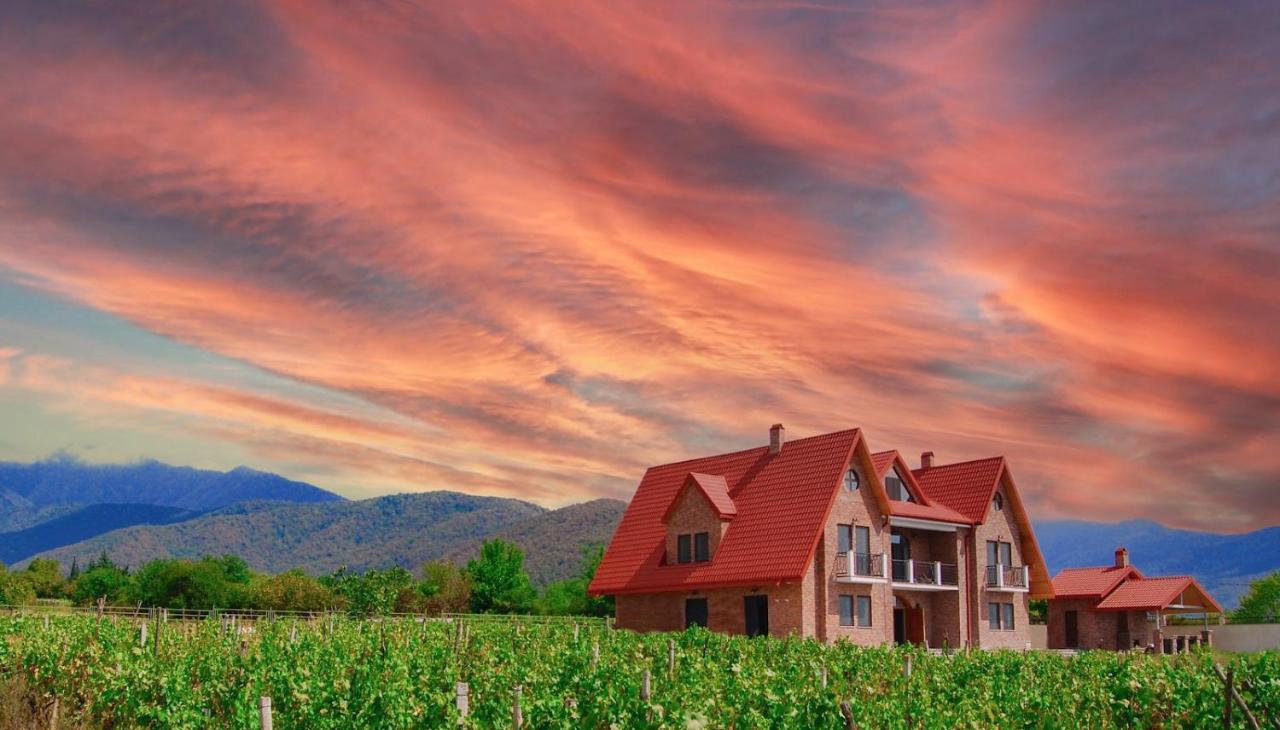 Begaso Family Winery Hotel Kvareli Ngoại thất bức ảnh