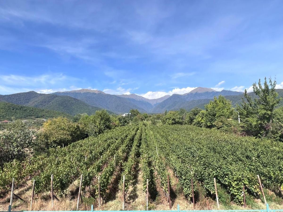 Begaso Family Winery Hotel Kvareli Ngoại thất bức ảnh