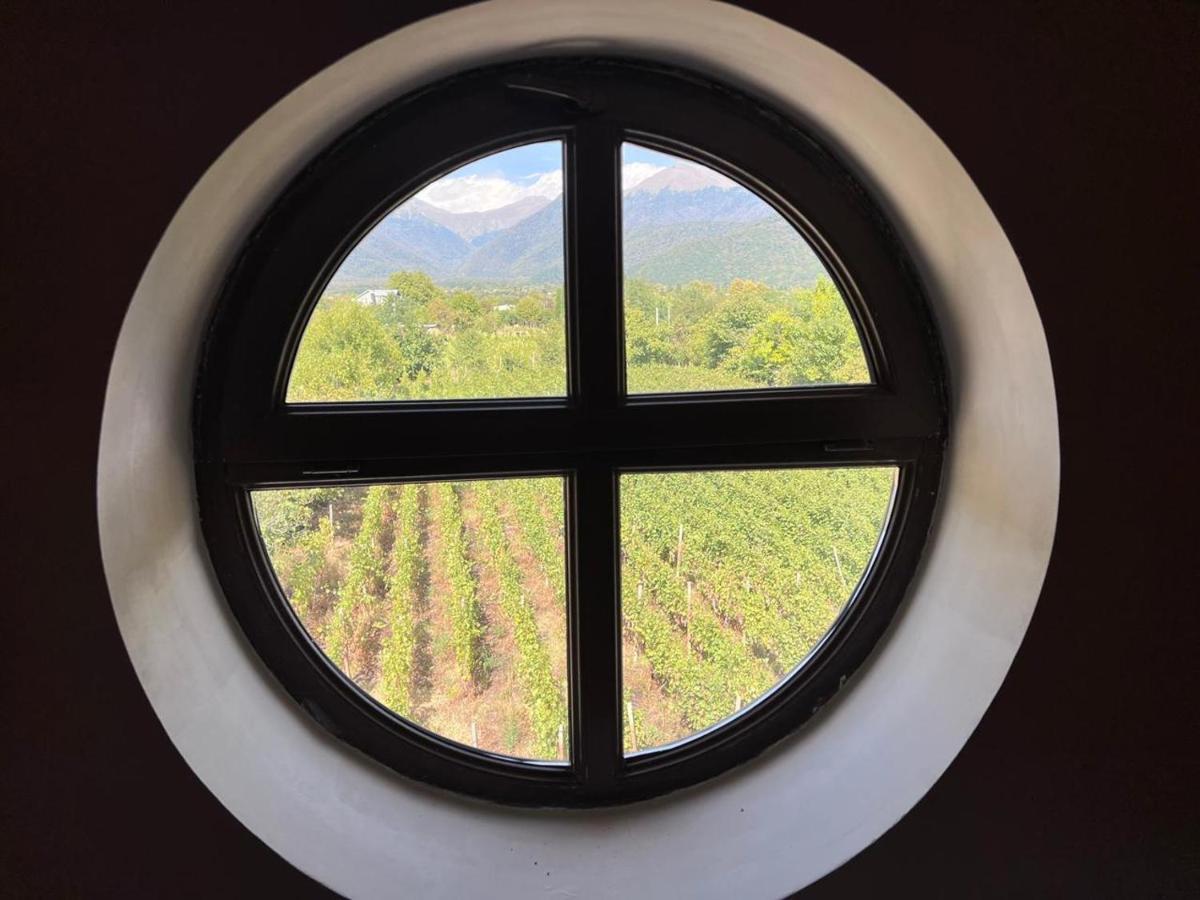 Begaso Family Winery Hotel Kvareli Ngoại thất bức ảnh